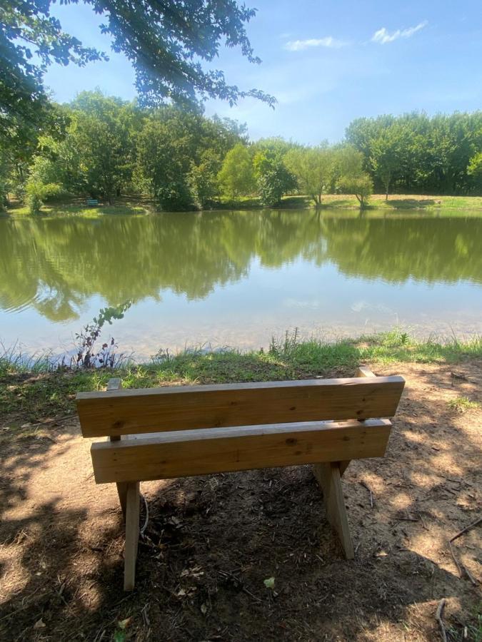 The Woods Lodging Kingston ภายนอก รูปภาพ